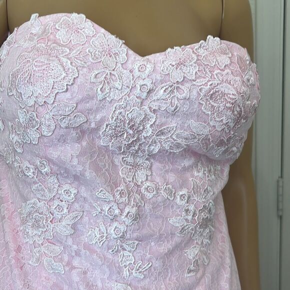 Hebron Pink Wedding Dress Sheer Embroidered Floral Lace High End - Picture 3 of 13